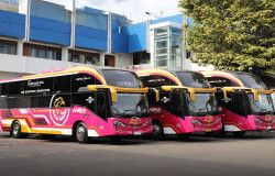 >PO Aneka Transport Tambah 3 Sleeper Bus Baru Tanpa Toilet