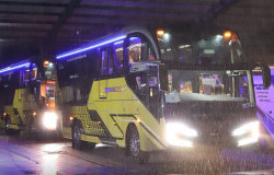 >PO Berlian Blambangan Punya 2 Bus Kabin Kombinasi Baru dari Karoseri New Armada 