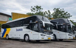 >Darurat BBM! Damri Minta Maaf, Puluhan Rute Bus dari Jabodetabek hingga Papua Berpotensi Terganggu