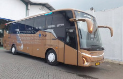 >7 Unit Bus Baru PO TAM Gunakan Sasis Mercedes-Benz OH1626 L dan S, Apa Bedanya?
