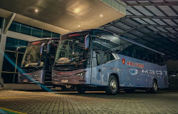 >Dari Bus Pariwisata Jadul ke 'Raja Akuisisi', Ini Kisah Hiba Group Merajai Transportasi Darat Indonesia