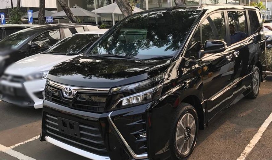 Ini Dia Wajah 'Baby Vellfire' dari Toyota