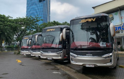 >Tutup Tahun 2024, PO SAN Layani 300 Ribu Penumpang dari Pulau Jawa dan Sumatera