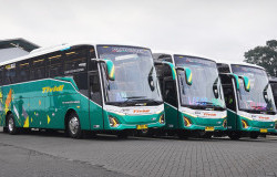 >PO Tividi Rilis 3 Unit Bus Pariwisata Baru, Andalkan Sasis Hino RM 280 ABS