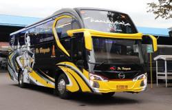 >Punya Desain Unik, Ini Arti dan Filosofi Livery 5 PO Bus Indonesia