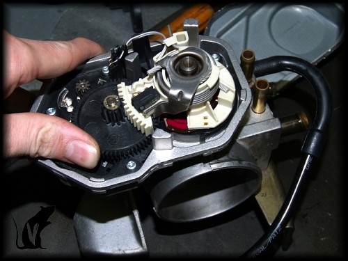 throttle position sensor