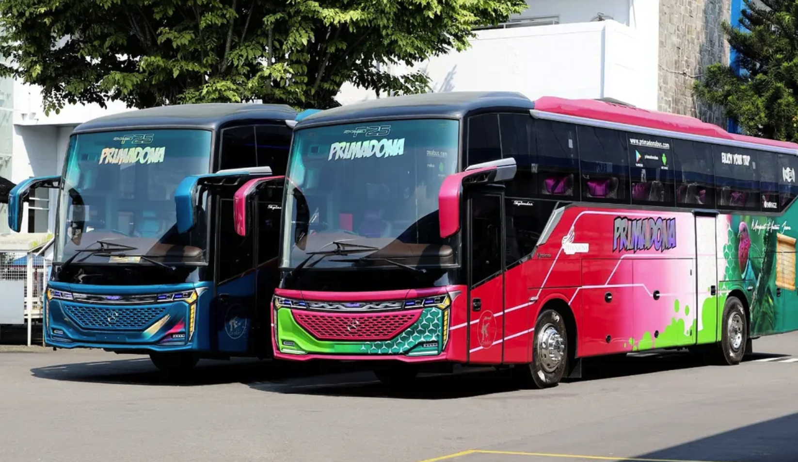PO Primadona Rilis Duet Bus Skylander F25, Visualnya Candu Banget!