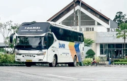 >Damri Operasikan Rute Baru Bus Antar Negara,  Ini Jadwal dan Tarifnya!